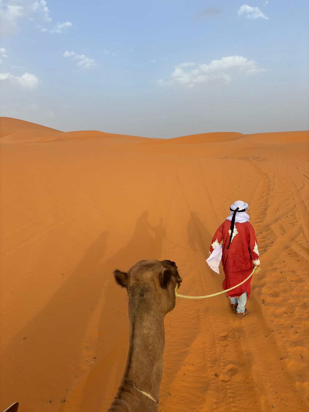 Merzouga: Kameltrek mit Sandboarding über Nacht — photo 2 of 12