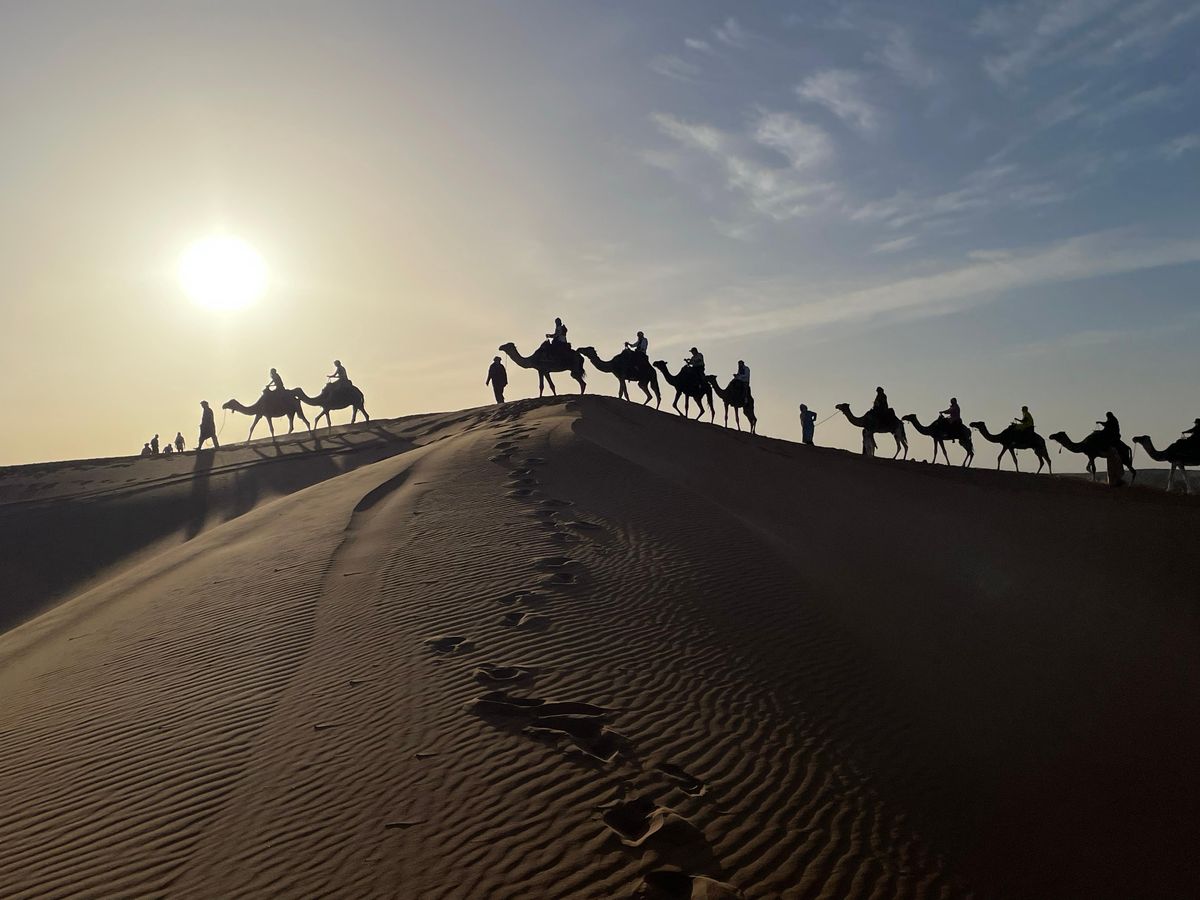 Merzouga: Transfer nach Fes — photo 2 of 10