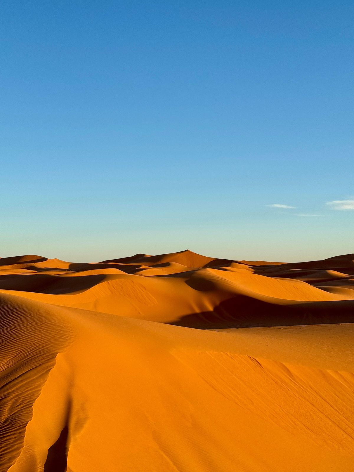 Ouarzazate: 2-dagers tur til Erg Chegaga-sanddynene og leir under stjernehimmelen — photo 2 of 8