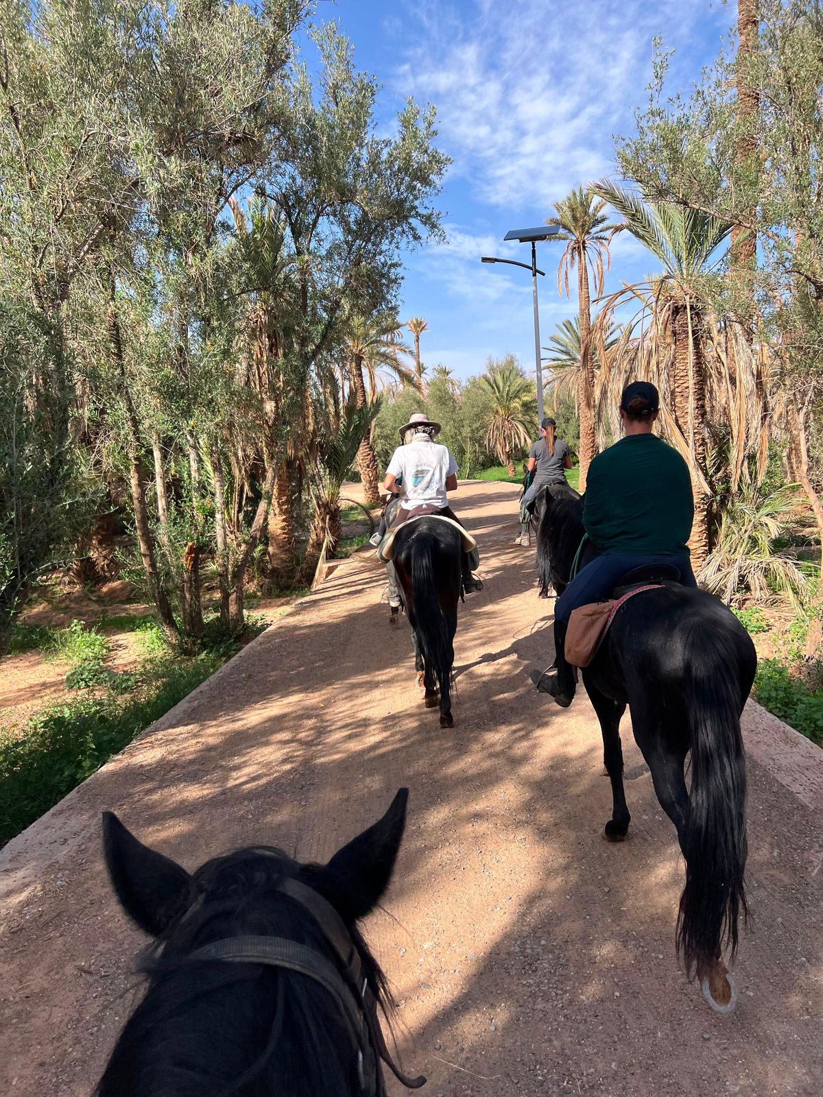 Ouarzazate: Reitausflug (1,5 Stunden bis ganztägig) — photo 2 of 15