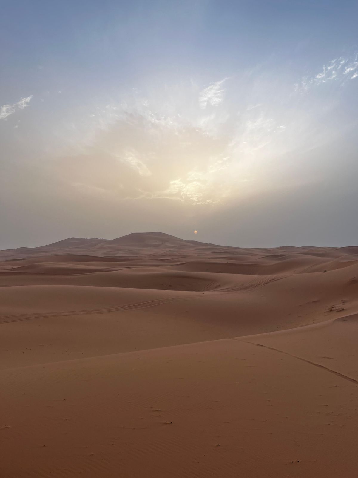 Da Ouarzazate a Marrakech: tour nel deserto di 3 giorni con Camel Trek — photo 2 of 15