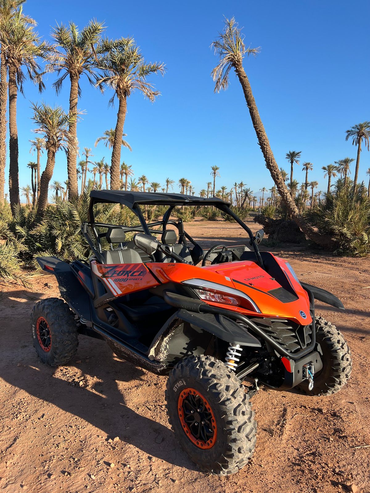 Marrakech : Palmenhain und Jbilat Wüstenbuggy 1000cc Tour — photo 1 of 15