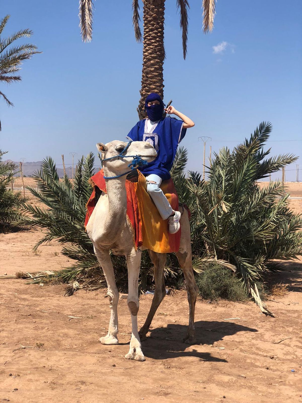 Marrakesch: Buggy-Tour im Palmenhain mit Kamelritt und Tee — photo 2 of 15