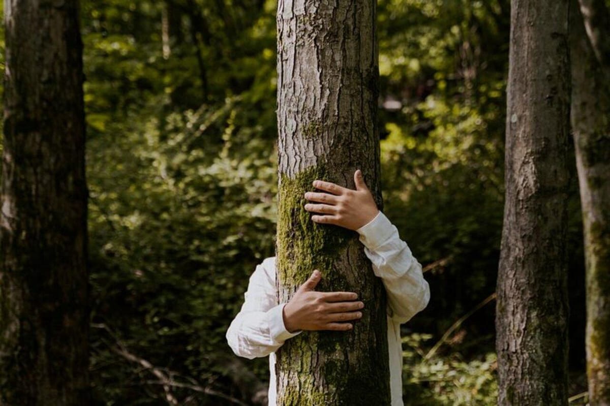 Pflanzen Sie einen Baum im Atlasgebirge und besuchen Sie eine einheimische Familie — photo 2 of 8
