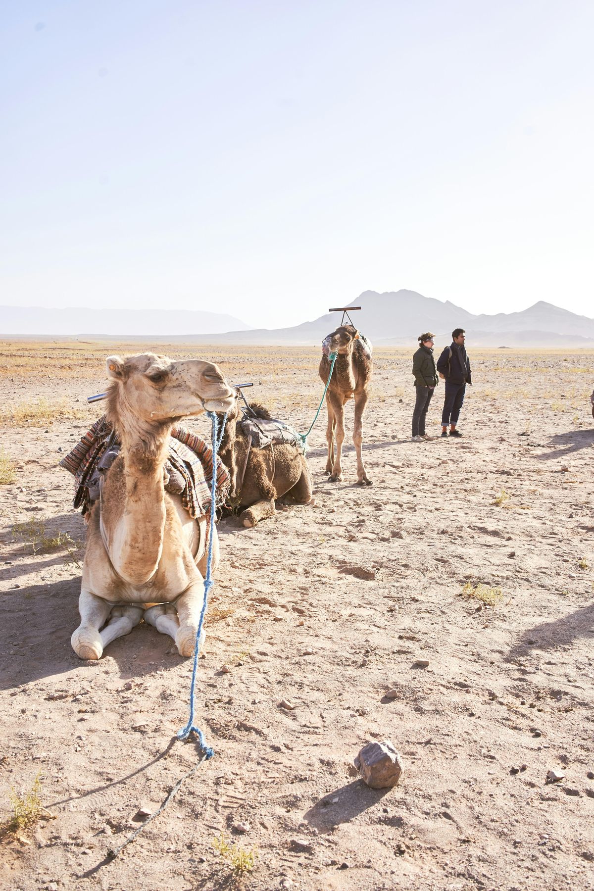 Marrakech: esperienza premium di 2 giorni nel deserto e nella kasbah — photo 2 of 10