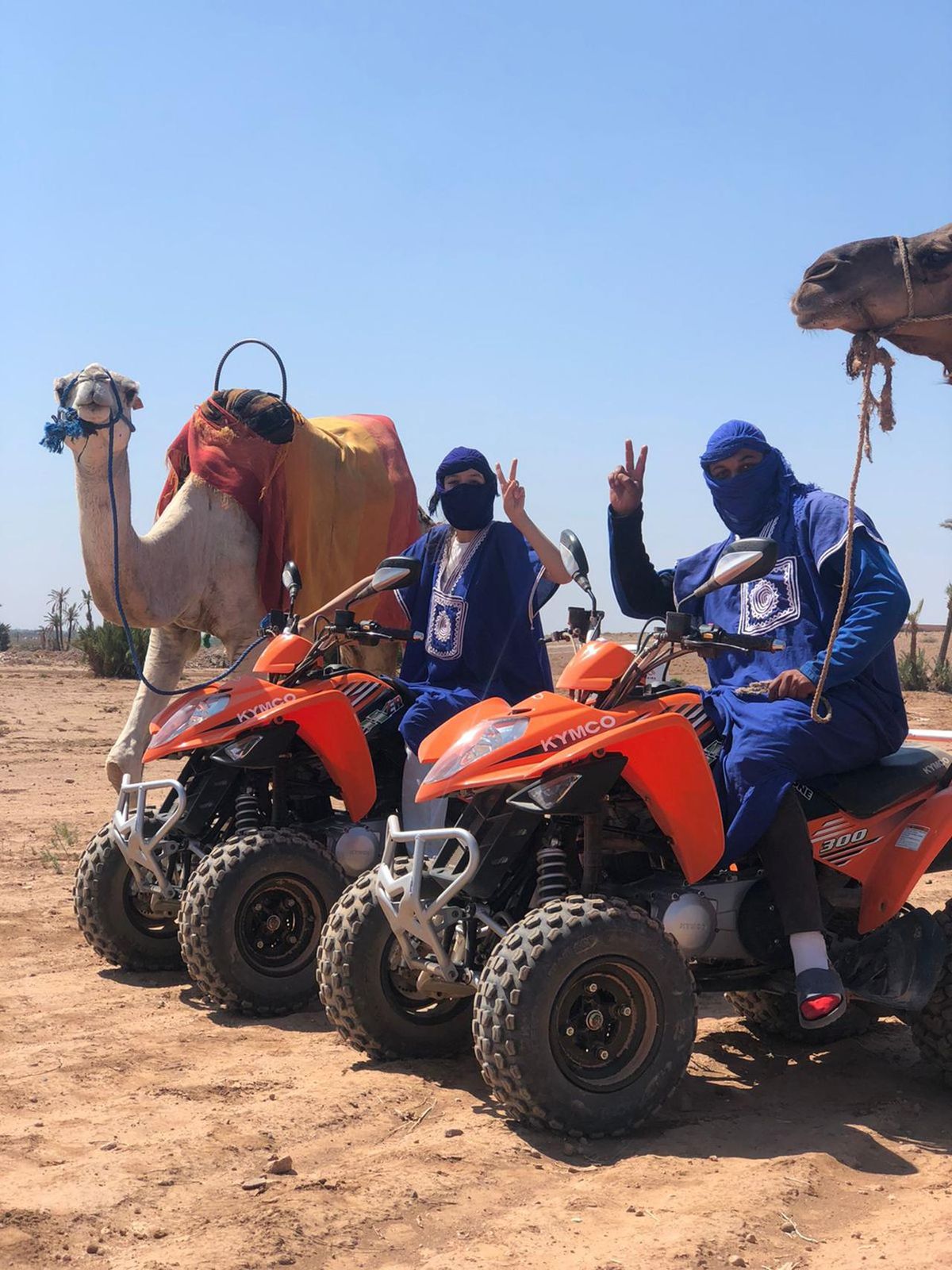 Marrakech: Tour in quad e giro in cammello — photo 2 of 15