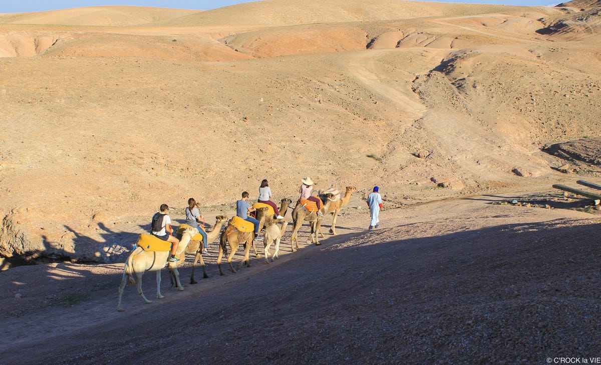 Marrakesch: Quadfahren & Kamelreiten (Palmenhain oder Agafay) — photo 2 of 12