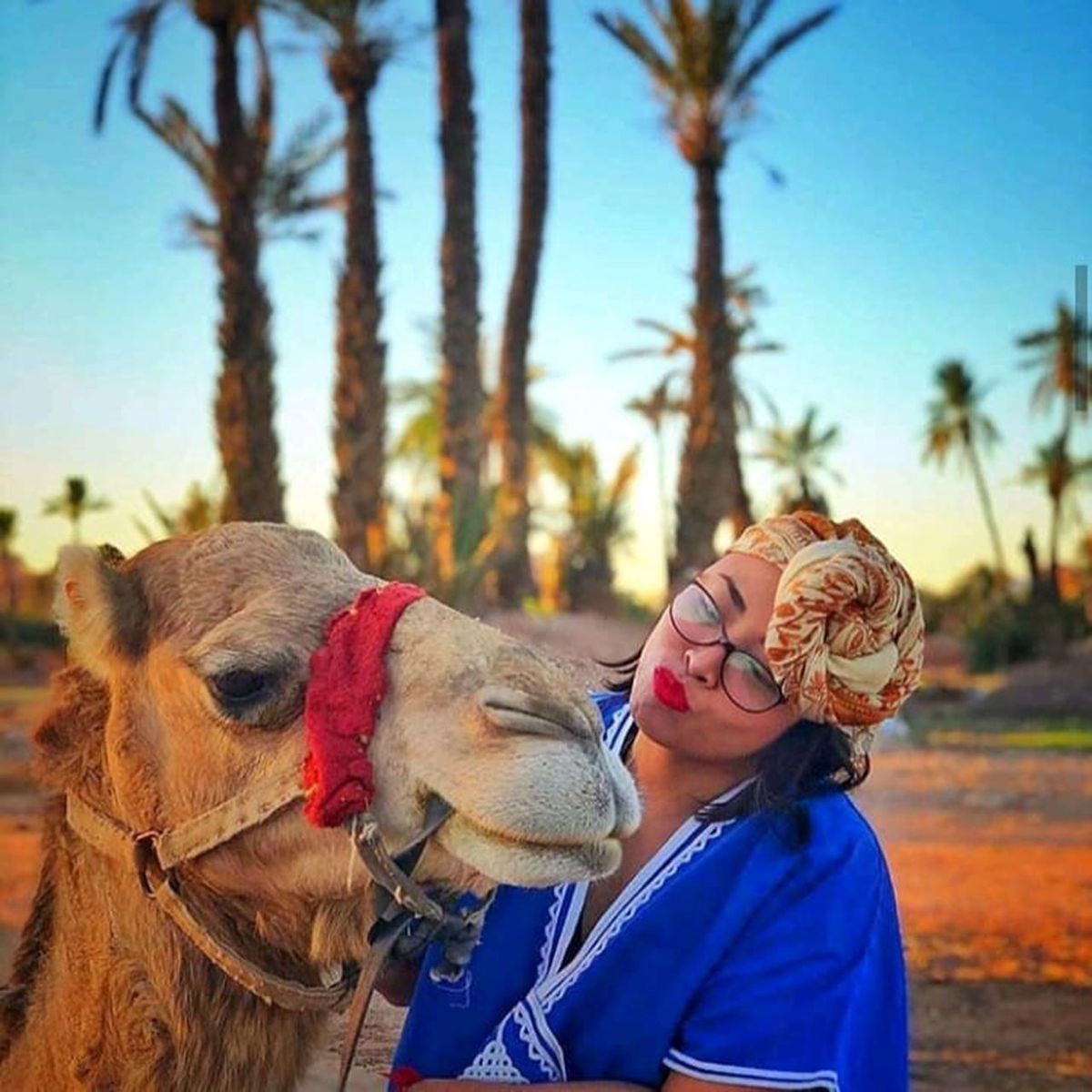 Giro in cammello al tramonto nel palmerai di Marrakesh — photo 2 of 15