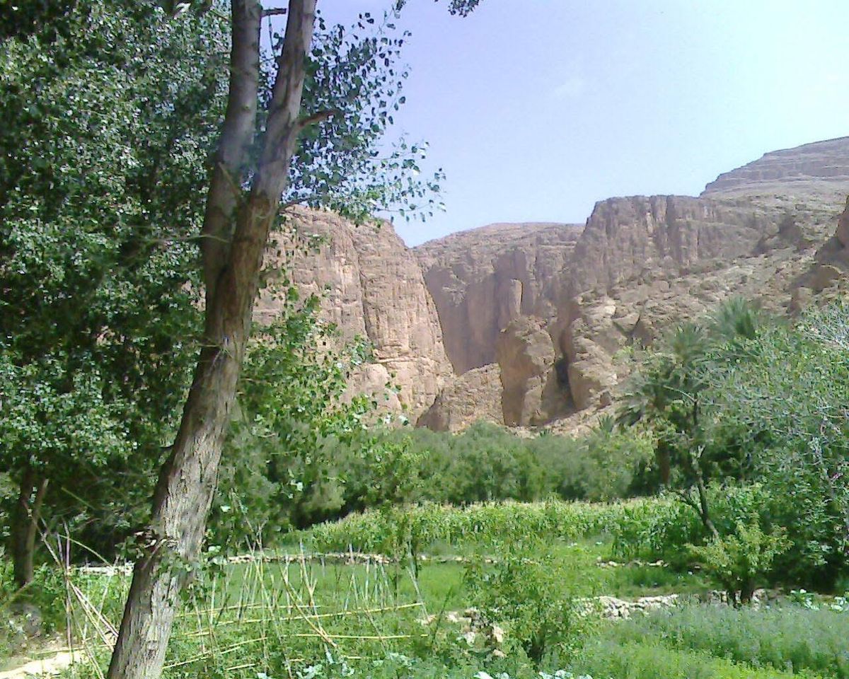 Tinghir: escursione guidata alla Valle del Toudra e alle Gole di Toudra — photo 2 of 4