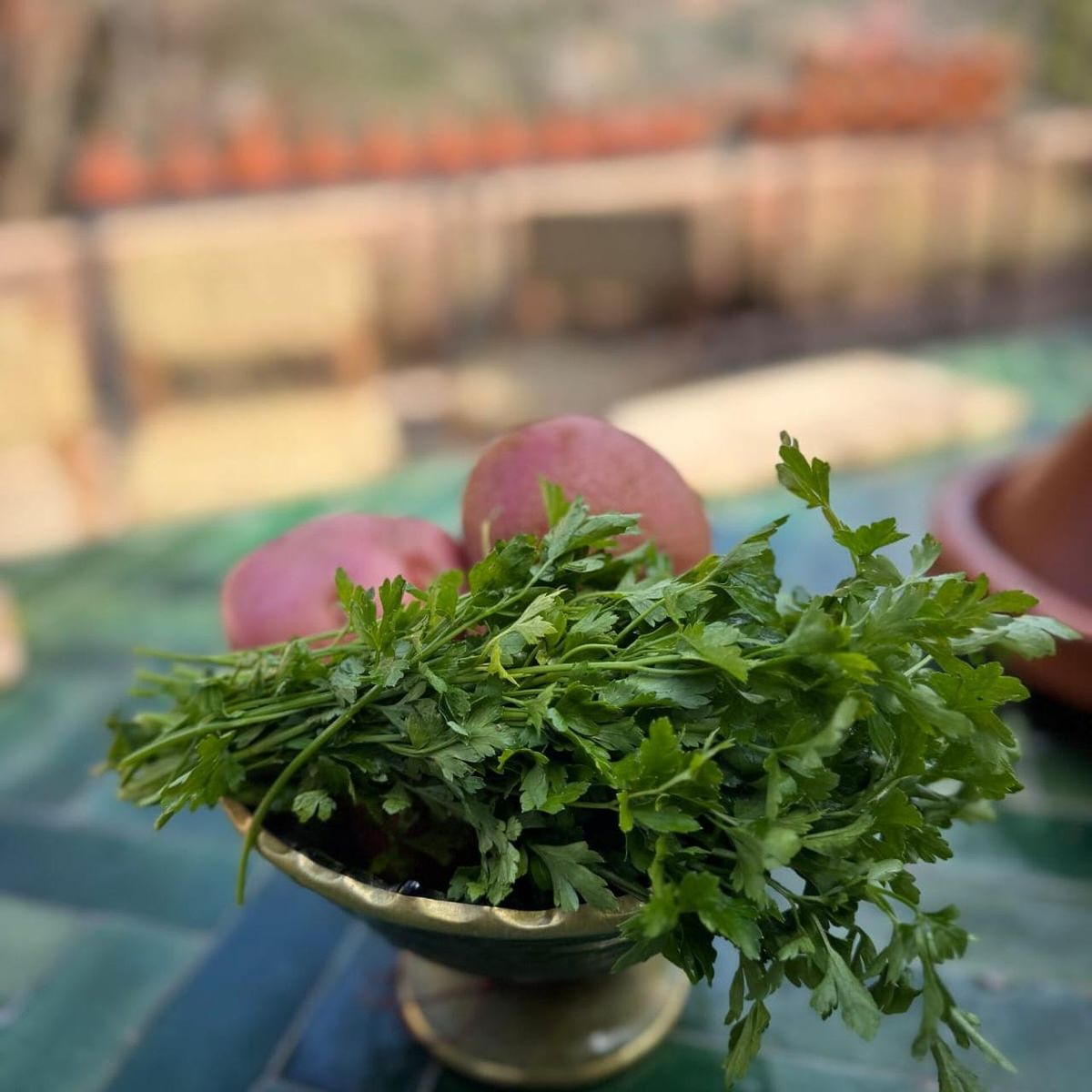 Marrakesch: Vegetarischer Kochkurs mit einem Chefkoch — photo 2 of 15